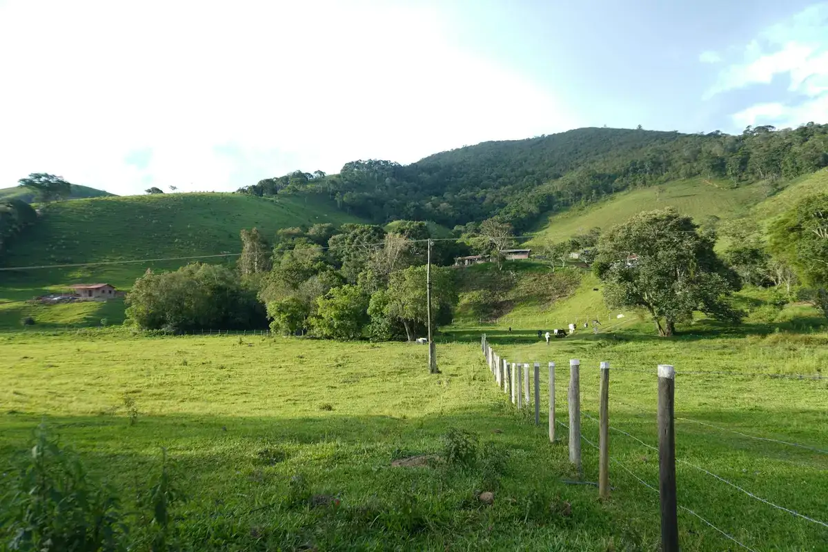 Pasto verde com cerca de arame e mourões, entre morros com mata