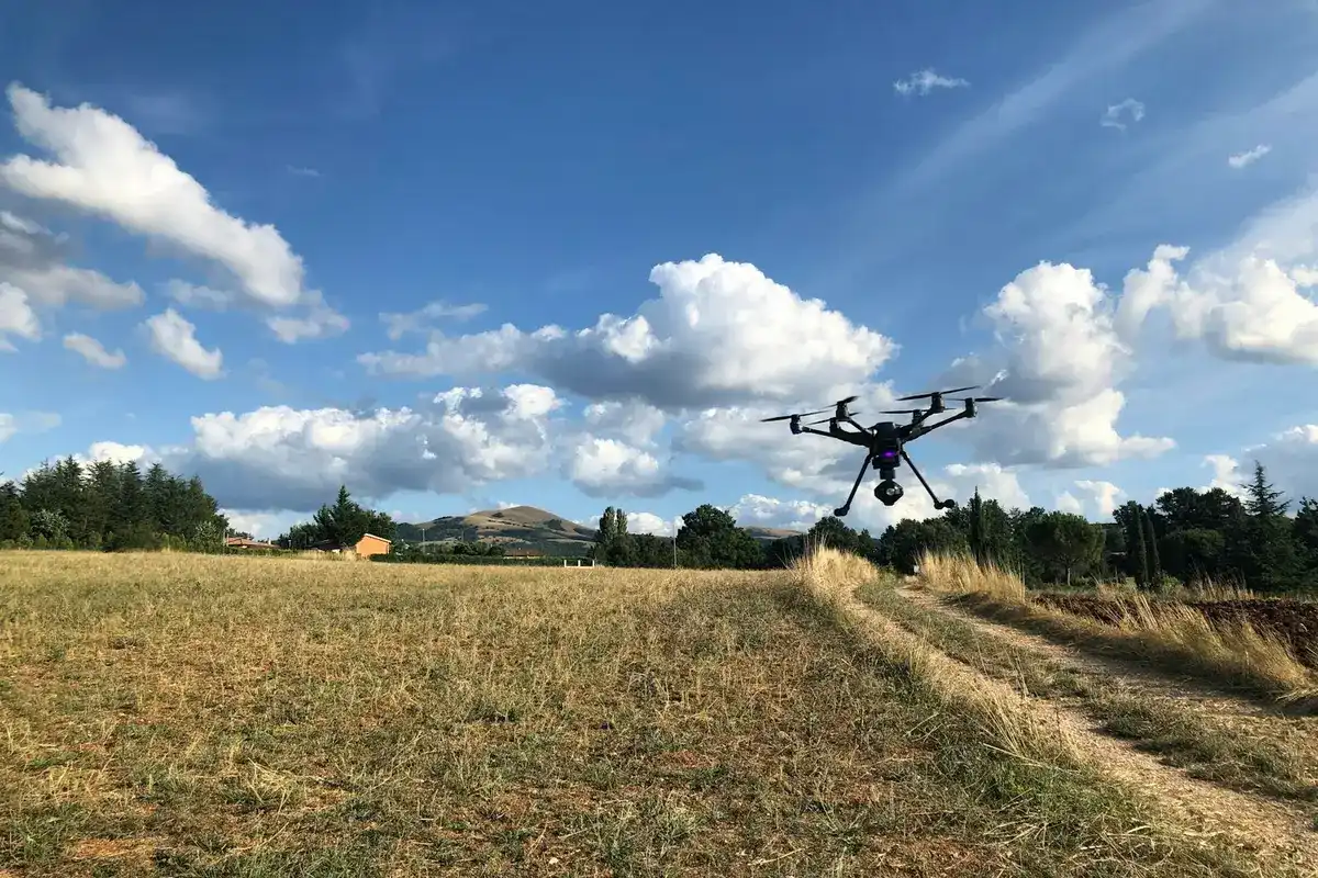 Drone voando sobre um campo de capim seco, com árvores e morros ao fundo