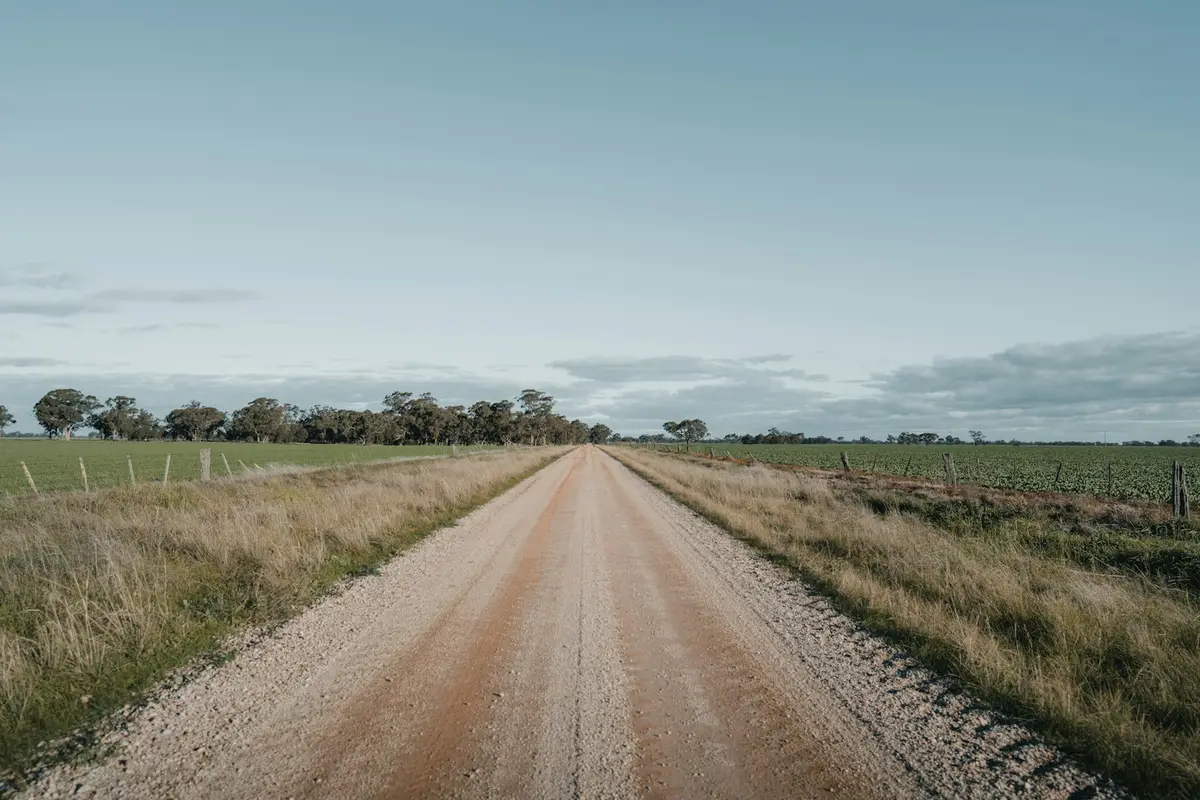 Estrada de terra reta entre duas áreas cercadas com arame, com árvores ao fundo