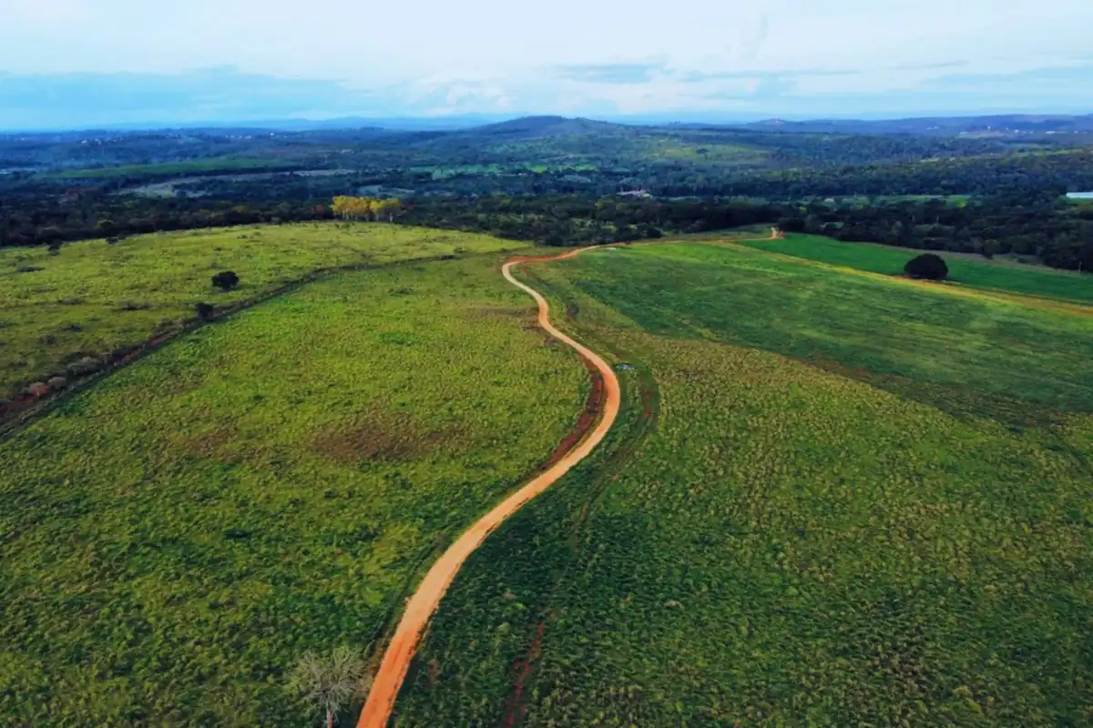 Vista aérea de estrada de terra vermelha cortando pastos verdes, com mata ao fundo
