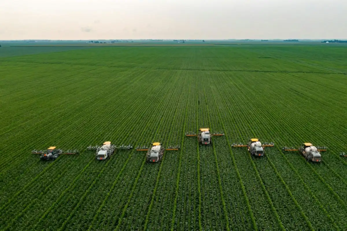 Vista aérea de uma lavoura extensa de milho, com seis máquinas agrícolas trabalhando lado a lado