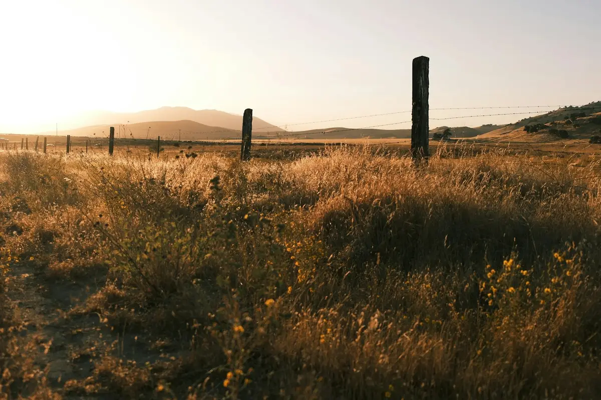 Cerca de arame com mourões num campo de capim seco ao entardecer